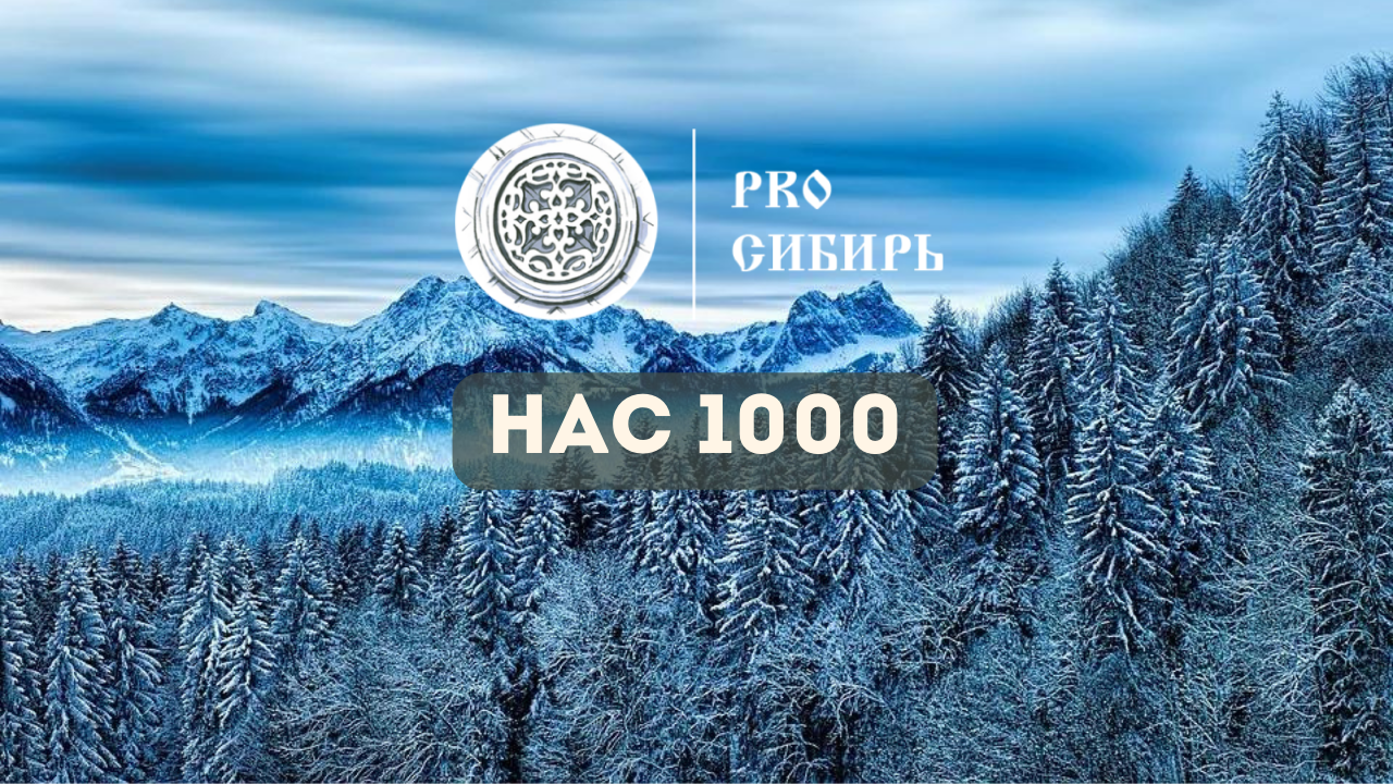 1000 пользователей зарегистрировались на PRO Сибирь