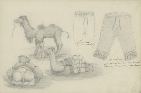 Зарисовки верблюдов
и одежды